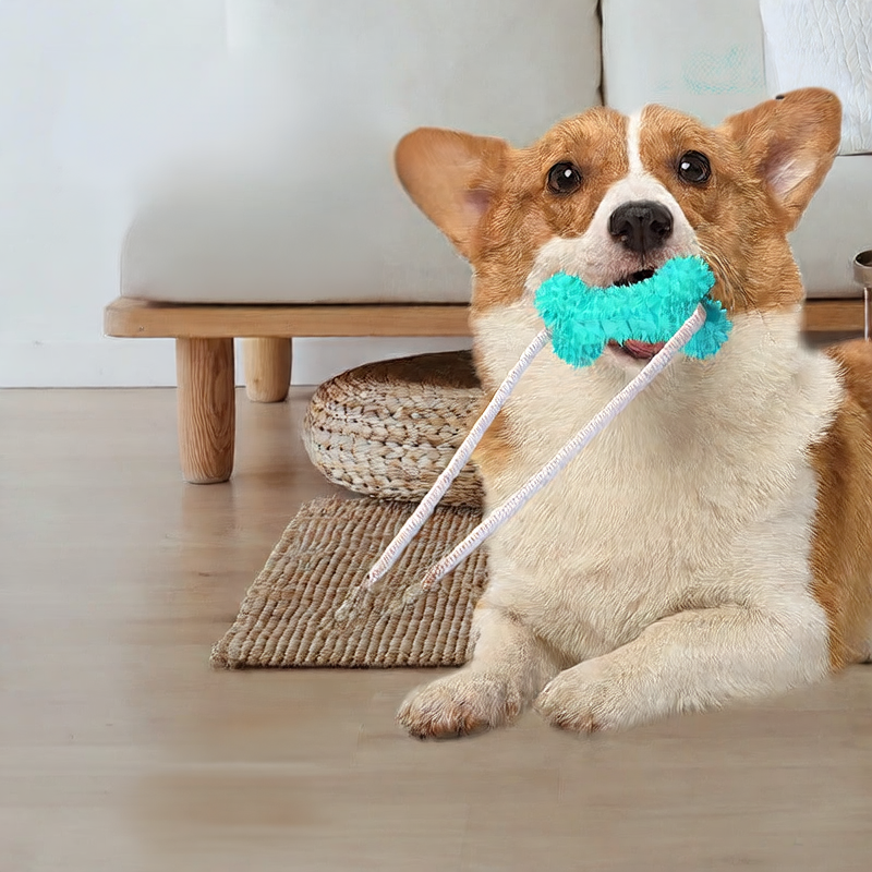 Perfect Dental Toy For Dogs Of All Sizes