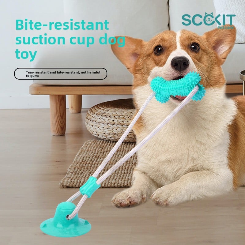 Perfect Dental Toy For Dogs Of All Sizes