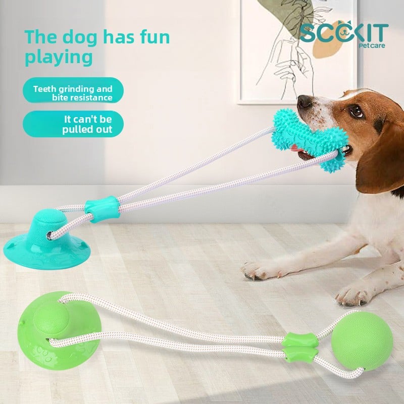 Perfect Dental Toy For Dogs Of All Sizes