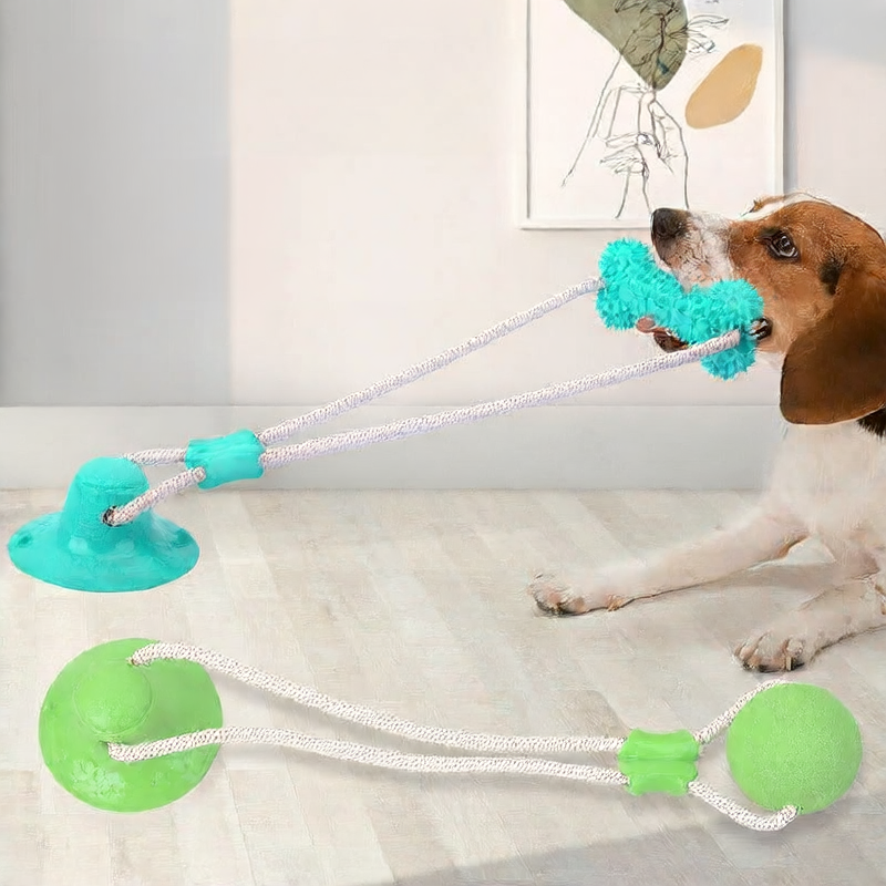 Perfect Dental Toy For Dogs Of All Sizes
