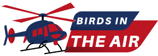 Birds In The Air | WorldWideWob logo