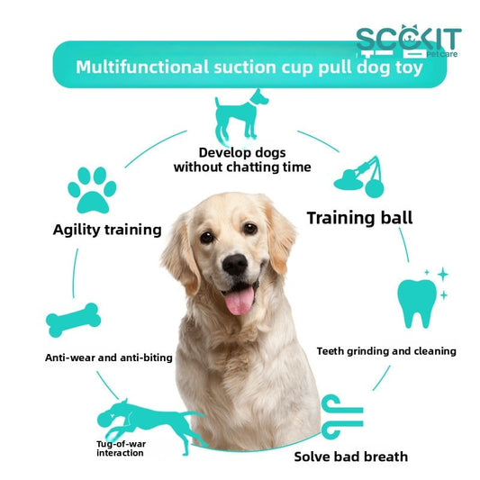 Perfect Dental Toy For Dogs Of All Sizes