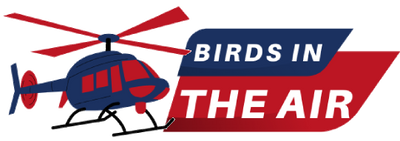 Birds in the Air