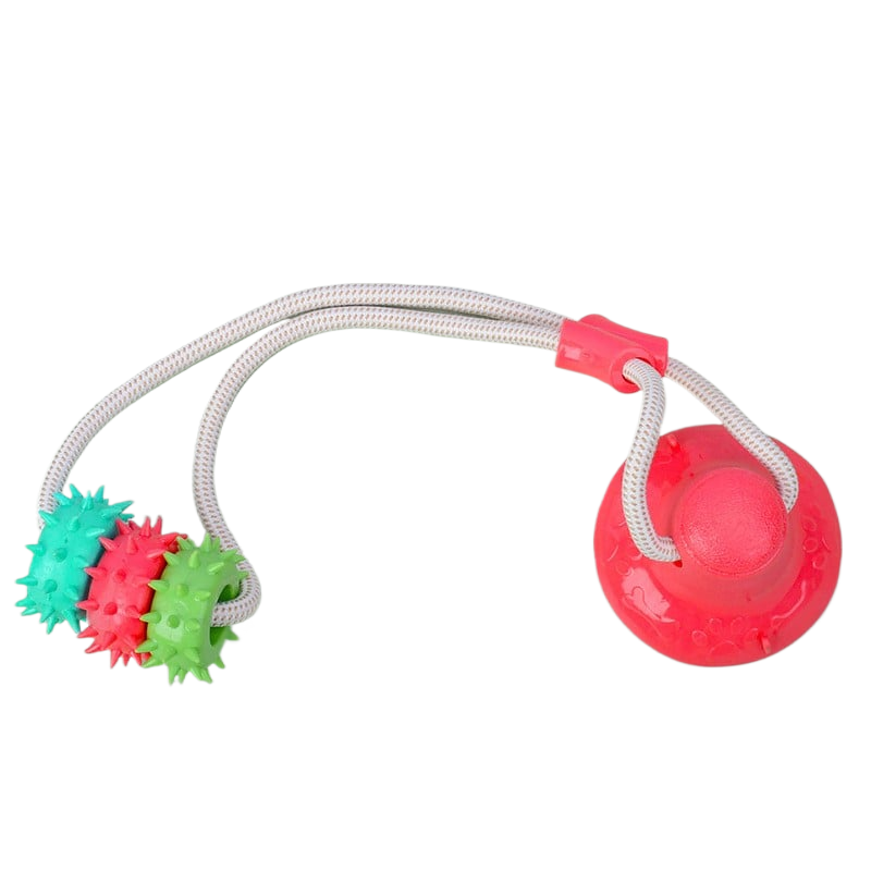 Perfect Dental Toy For Dogs Of All Sizes